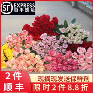 香水百合 優(yōu)雅芬芳的禮品花卉之選